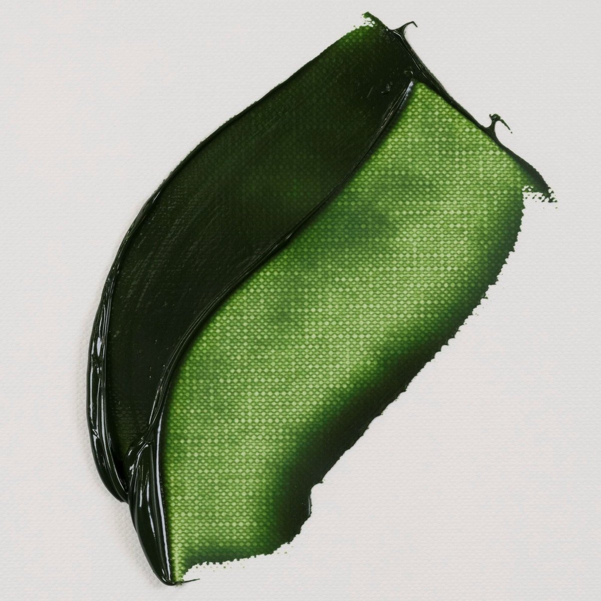 van Gogh Oil Paint 40 ml - Sap Green - merriartist.com