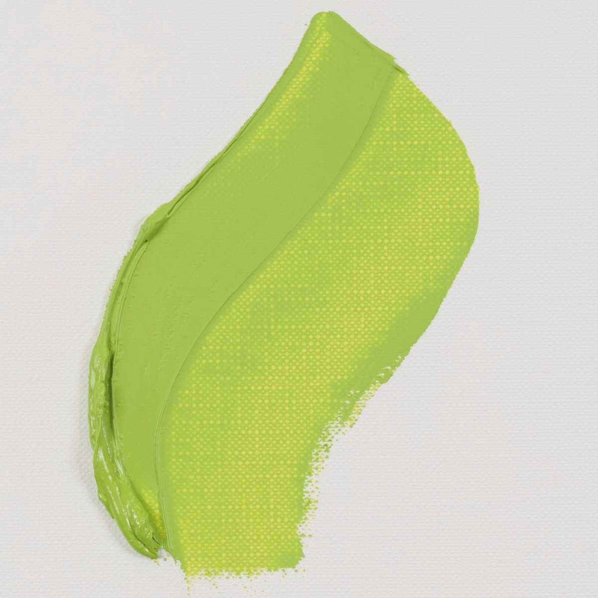 van Gogh Oil Paint 40 ml - Yellowish Green - merriartist.com