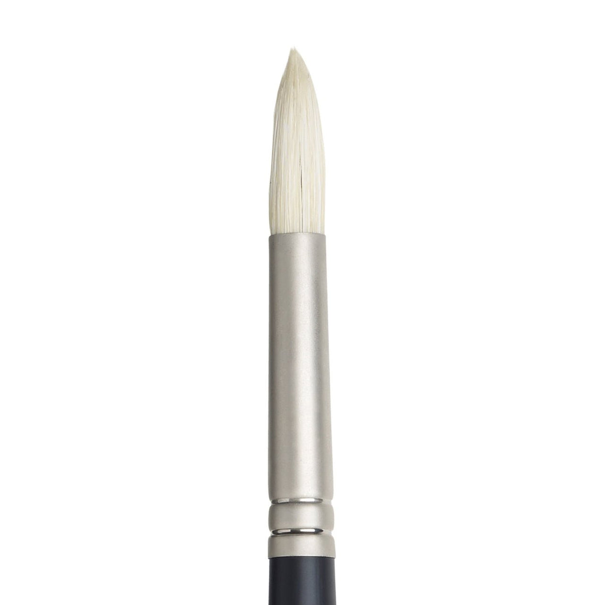Winsor & Newton Artist Oil Brush Round #8 - merriartist.com