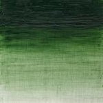 Winsor & Newton Artist Oil Terre Verte 37ml - merriartist.com