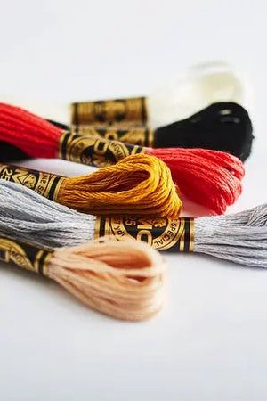 DMC Embroidery Floss