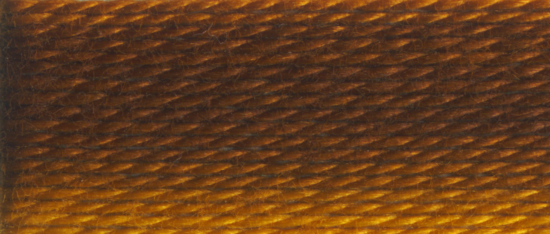 DMC 6-Strand Cotton Embroidery Floss 8.7yd - 111 Variegated Mustard