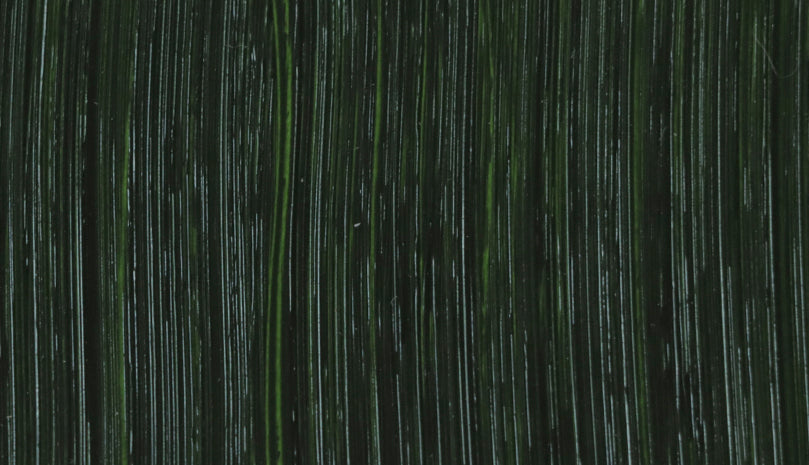 Michael Harding Oil Paint - 238 Hookers Green 40ml