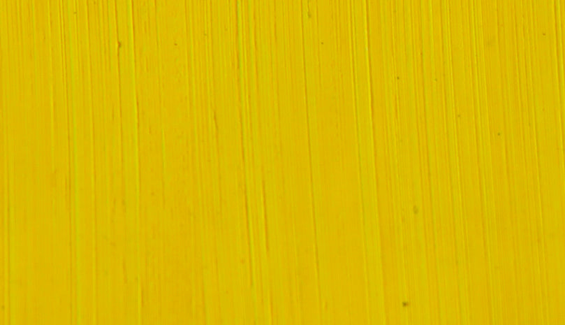 Michael Harding Oil Paint - 248 Citron 40ml