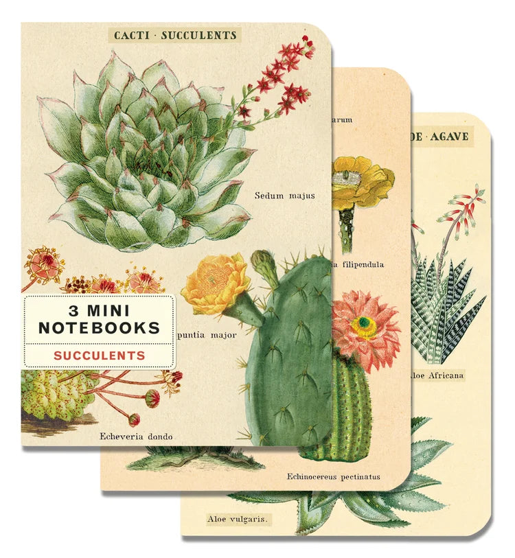 Cavallini & Co. Vintage Inspired Mini Notebook - 4 x 5.5 inch 96 pages - Set of 3 - Succulents