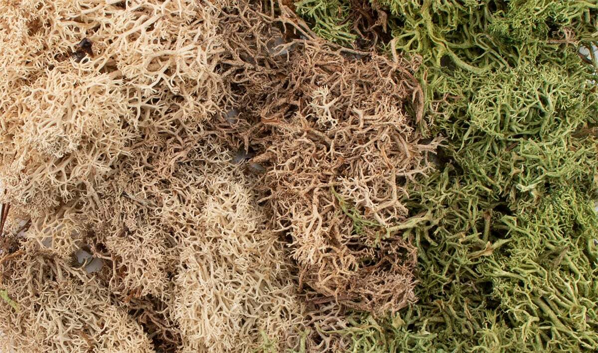 All Game Terrain - EZ Bushes 9.72 cubic inches - Winter Mix - The Merri Artist - merriartist.com