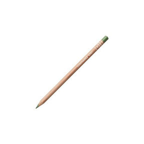 Caran d'Ache Luminance 6901 Colored Pencil - 225 Moss Green - The Merri Artist - merriartist.com