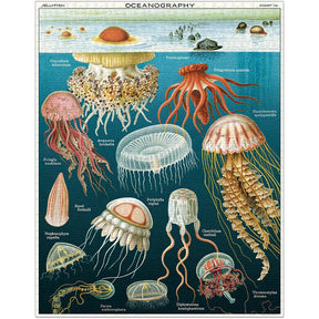 Cavallini & Co. Vintage Inspired 1000 Piece Puzzle - Jellyfish - The Merri Artist - merriartist.com