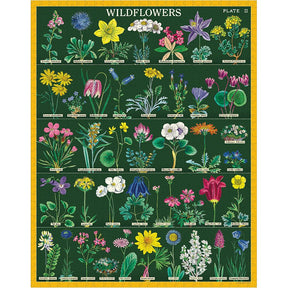 Cavallini & Co. Vintage Inspired 1000 Piece Puzzle - Wildflowers 2 - The Merri Artist - merriartist.com