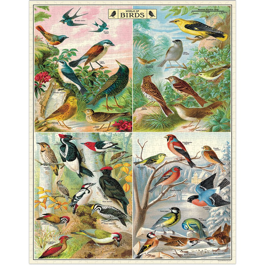 Cavallini & Co. Vintage Inspired 1000 Piece Puzzle - World of Birds - The Merri Artist - merriartist.com
