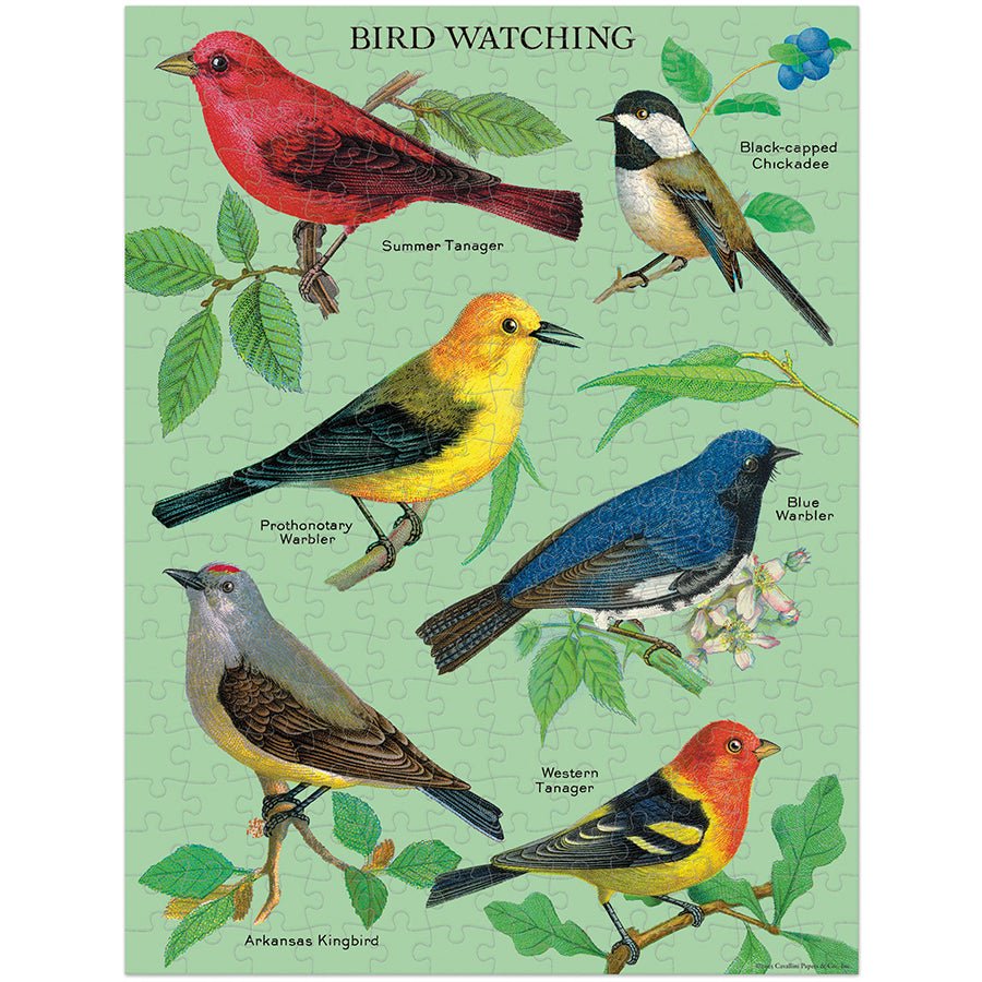 Cavallini & Co. Vintage Inspired 240 Piece Mini Puzzle - Bird Watching - The Merri Artist - merriartist.com