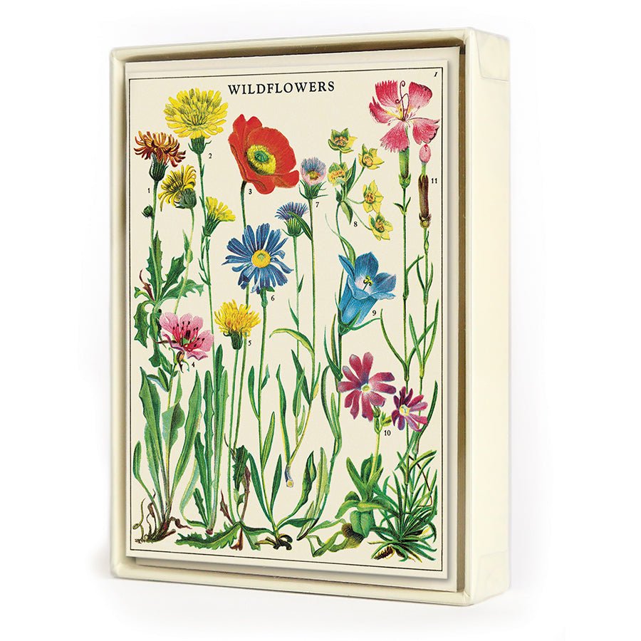 Cavallini & Co. Vintage Inspired Boxed Notecards - 8 folded 3.75" x 5.25" notecards and envelopes (4 designs 2 per design) - Wildflowers - The Merri Artist - merriartist.com