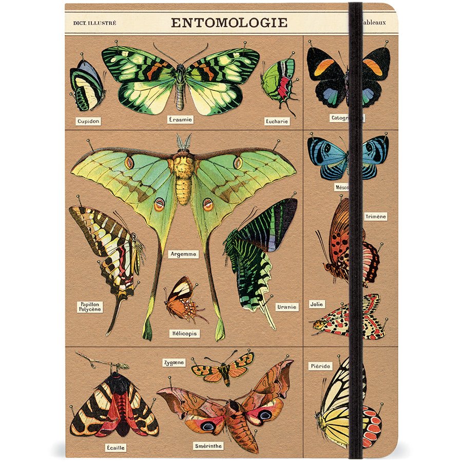 Cavallini & Co. Vintage Inspired Large Notebook - 6" x 8" 144 pages - Entomology - The Merri Artist - merriartist.com