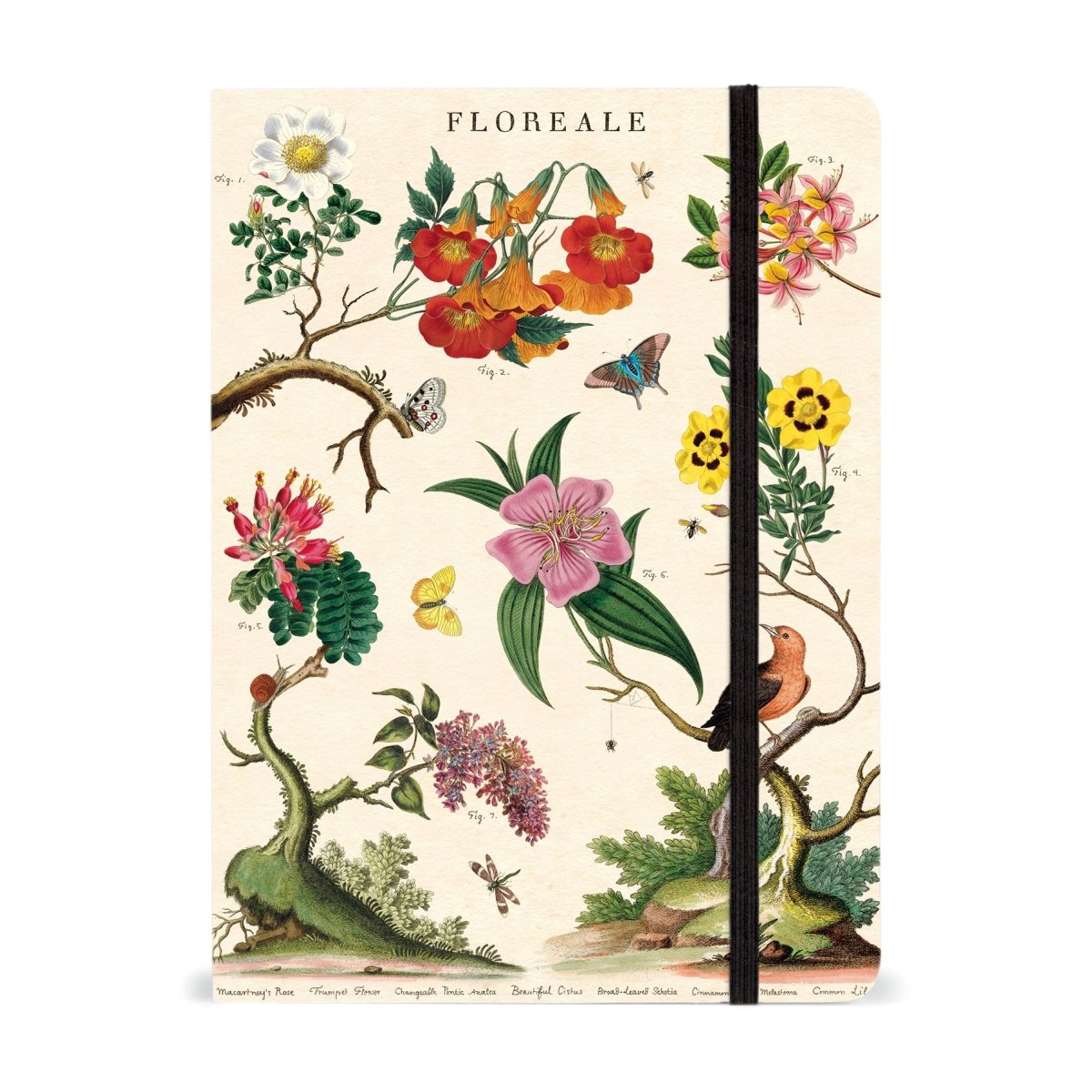 Cavallini & Co. Vintage Inspired Large Notebook - 6" x 8" 144 pages - Floreale - The Merri Artist - merriartist.com