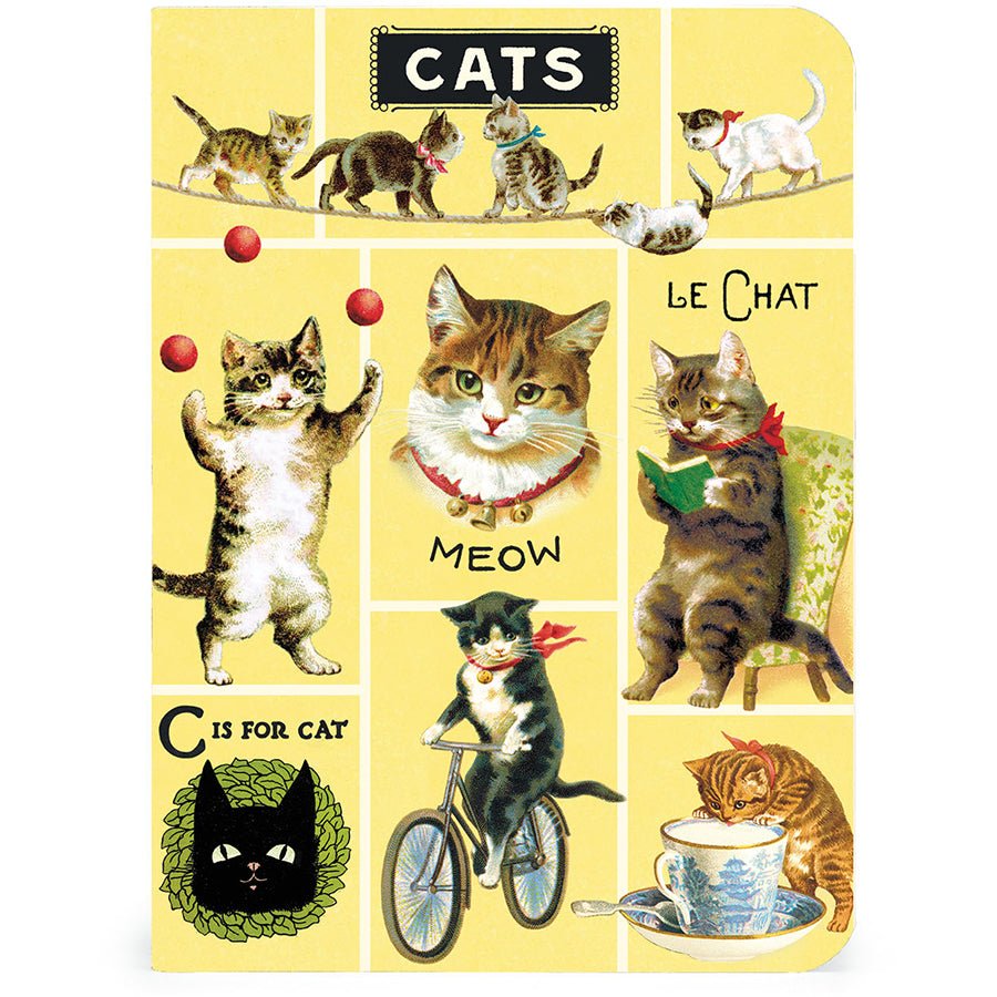 Cavallini & Co. Vintage Inspired Mini Notebook - 4 x 5.5 inch 96 pages - Set of 3 - Cats - The Merri Artist - merriartist.com