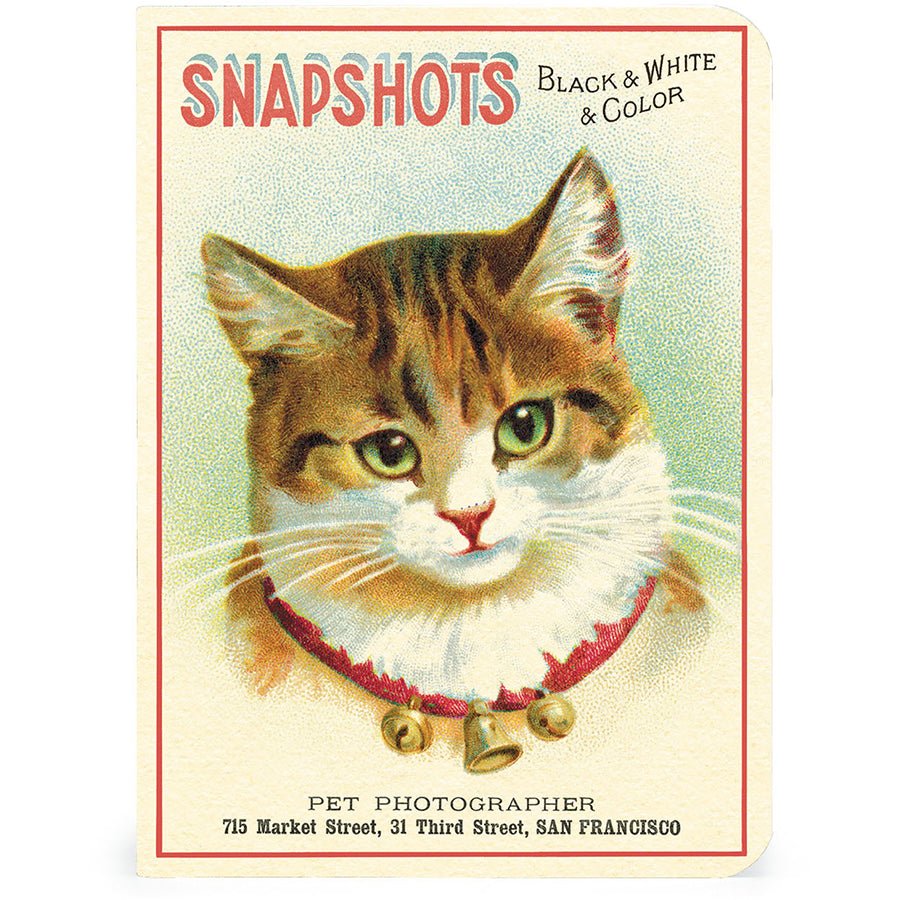 Cavallini & Co. Vintage Inspired Mini Notebook - 4 x 5.5 inch 96 pages - Set of 3 - Cats - The Merri Artist - merriartist.com