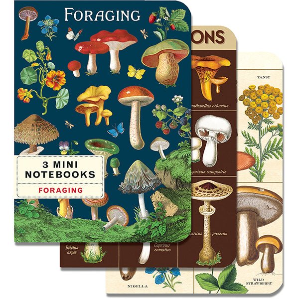 Cavallini & Co. Vintage Inspired Mini Notebook - 4 x 5.5 inch 96 pages - Set of 3 - Foraging - The Merri Artist - merriartist.com