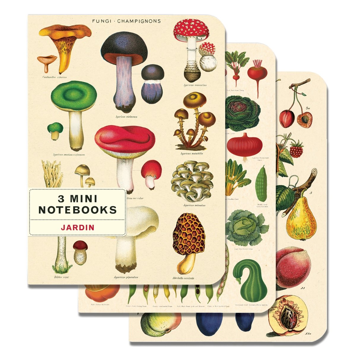 Cavallini & Co. Vintage Inspired Mini Notebook - 4 x 5.5 inch 96 pages - Set of 3 - Jardin - The Merri Artist - merriartist.com