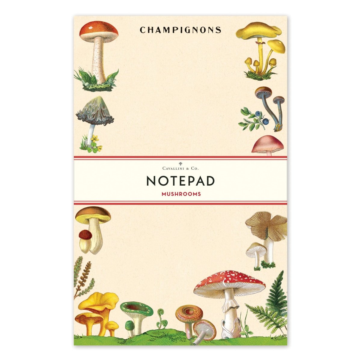 Cavallini & Co. Vintage Inspired Notepad - 4.33 X 6.69 inch (11cm x 17cm) - 100 pages - Mushrooms - The Merri Artist - merriartist.com