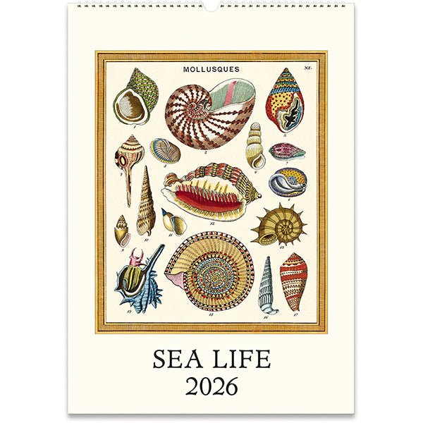 Cavallini & Co. Vintage Sea Life Calendar - 13" x 19" (33 cm x 48 cm) - The Merri Artist - merriartist.com