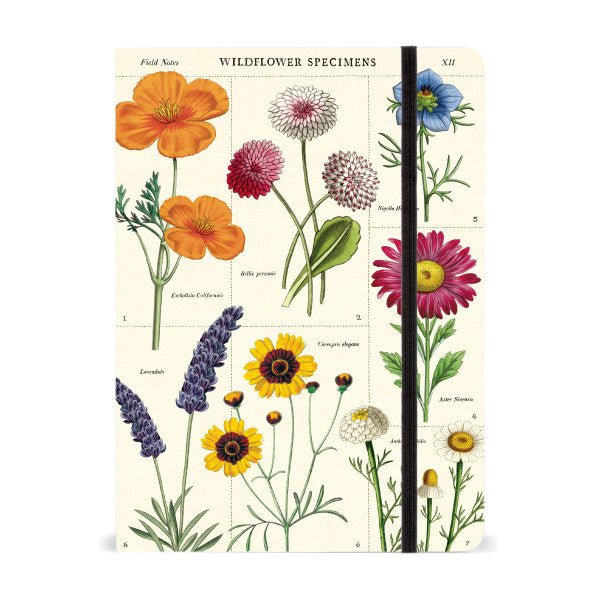 Cavallini Large Notebook - 6" x 8" 144 pages - Wildflowers - The Merri Artist - merriartist.com