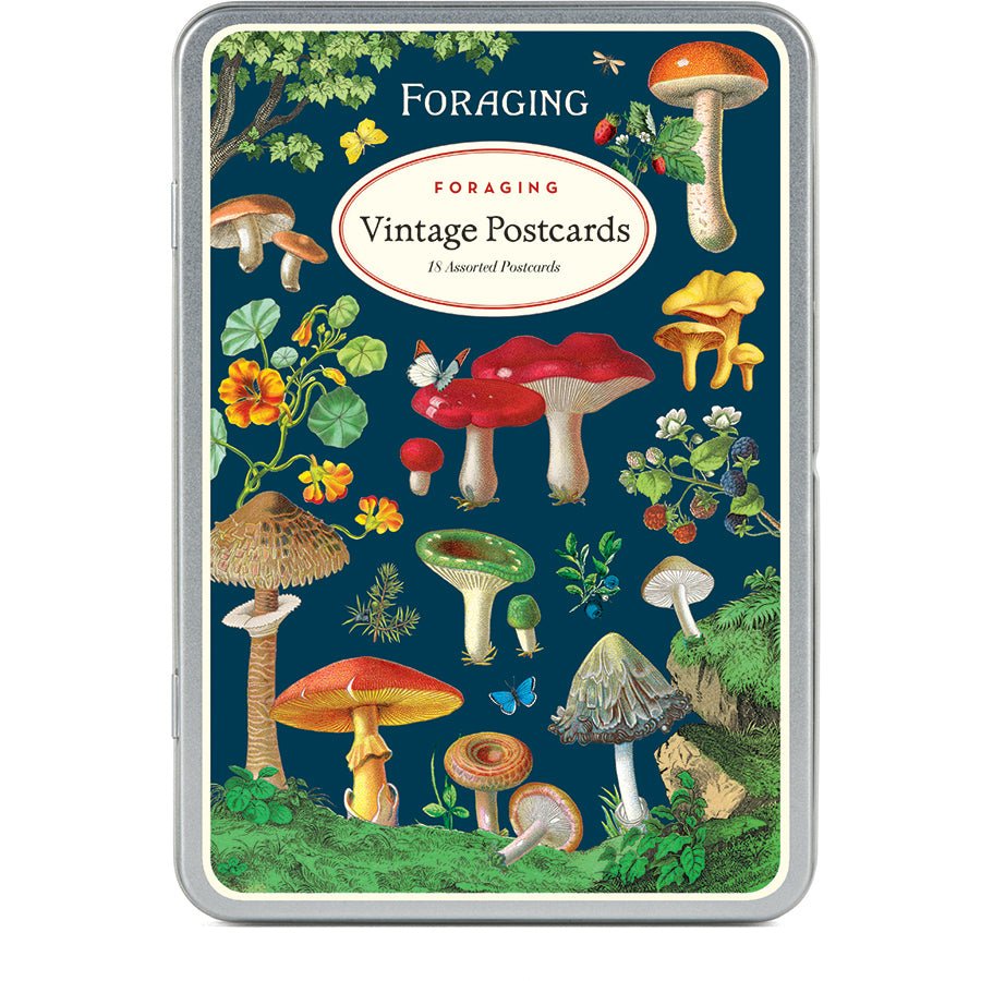 Cavallini Vintage Inspired Postcards - 18 assorted 3.75" x 5.5" Postcards in Metal Tin - Foraging - The Merri Artist - merriartist.com