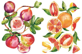 Chronicle Books - 15 - minute Art Watercolour - The Merri Artist - merriartist.com