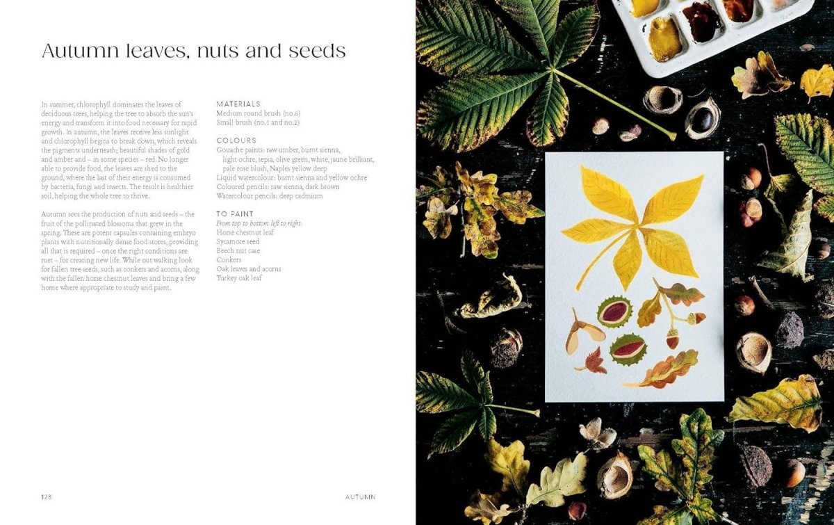 Chronicle Books - Painting Nature - The Merri Artist - merriartist.com