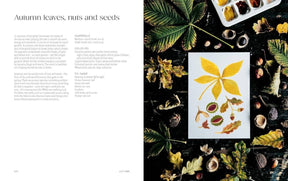 Chronicle Books - Painting Nature - The Merri Artist - merriartist.com