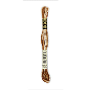 DMC 6 - Strand Cotton Embroidery Floss 8.7yd - 105 Variegated Brown - The Merri Artist - merriartist.com