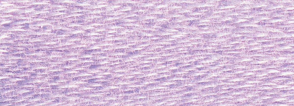 DMC 6 - Strand Cotton Embroidery Floss 8.7yd - 211 Light Lavender - The Merri Artist - merriartist.com