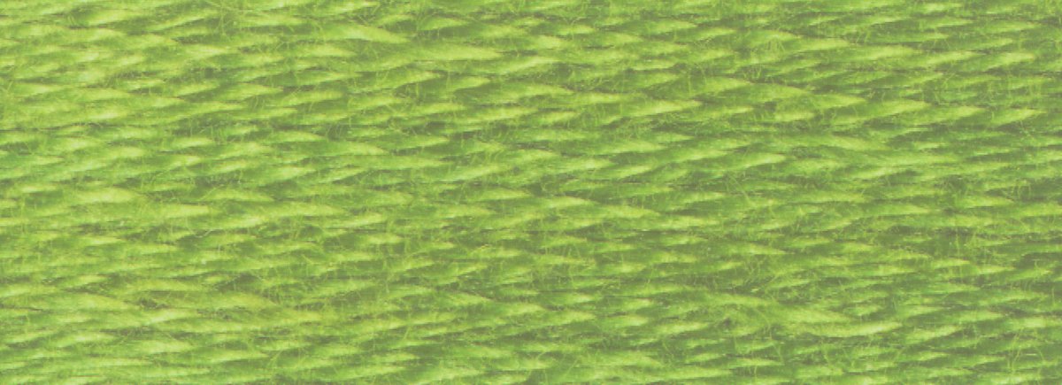DMC 6 - Strand Cotton Embroidery Floss 8.7yd - 3347 Medium Yellow Green - The Merri Artist - merriartist.com