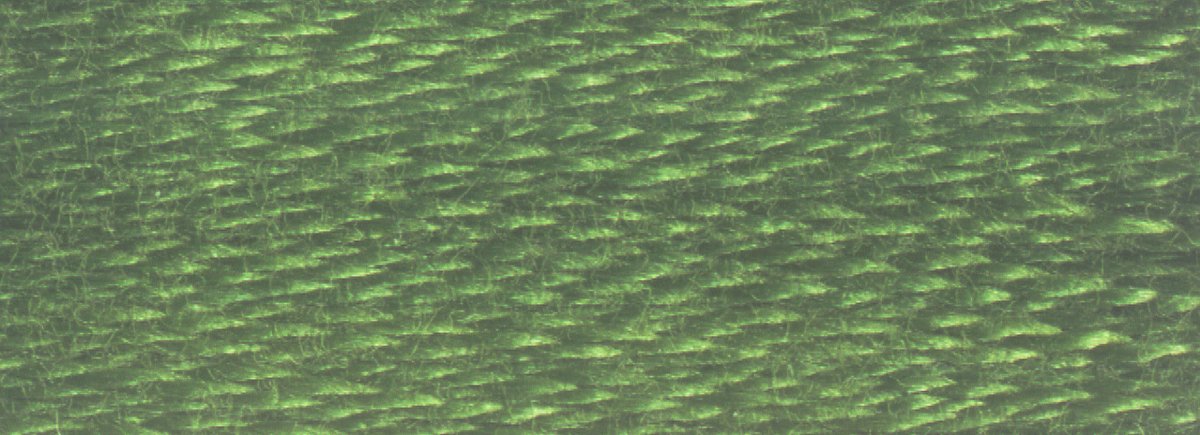 DMC 6 - Strand Cotton Embroidery Floss 8.7yd - 3362 Dark Pine Green - The Merri Artist - merriartist.com