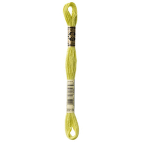 DMC 6 - Strand Cotton Embroidery Floss 8.7yd - 3819 Light Moss Green - The Merri Artist - merriartist.com