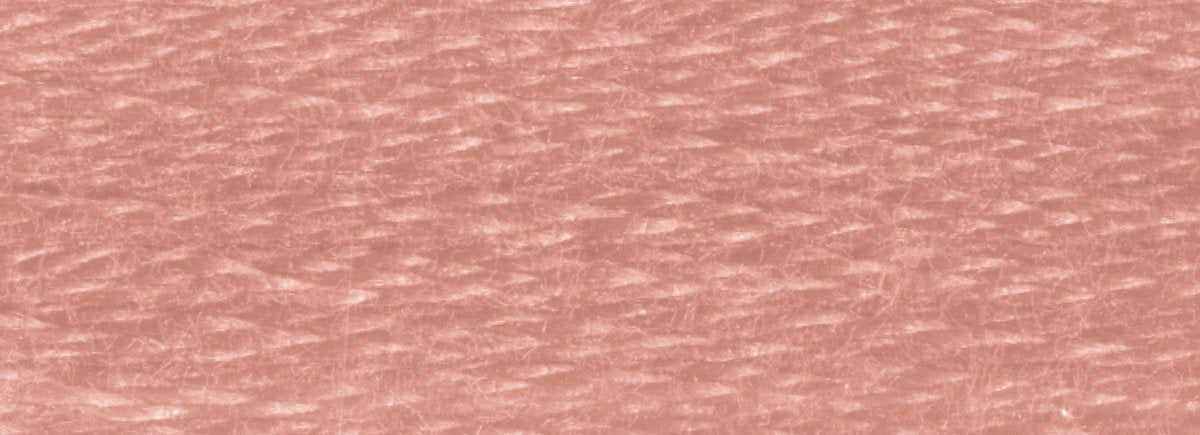 DMC 6 - Strand Cotton Embroidery Floss 8.7yd - 3859 Light Rosewood - The Merri Artist - merriartist.com