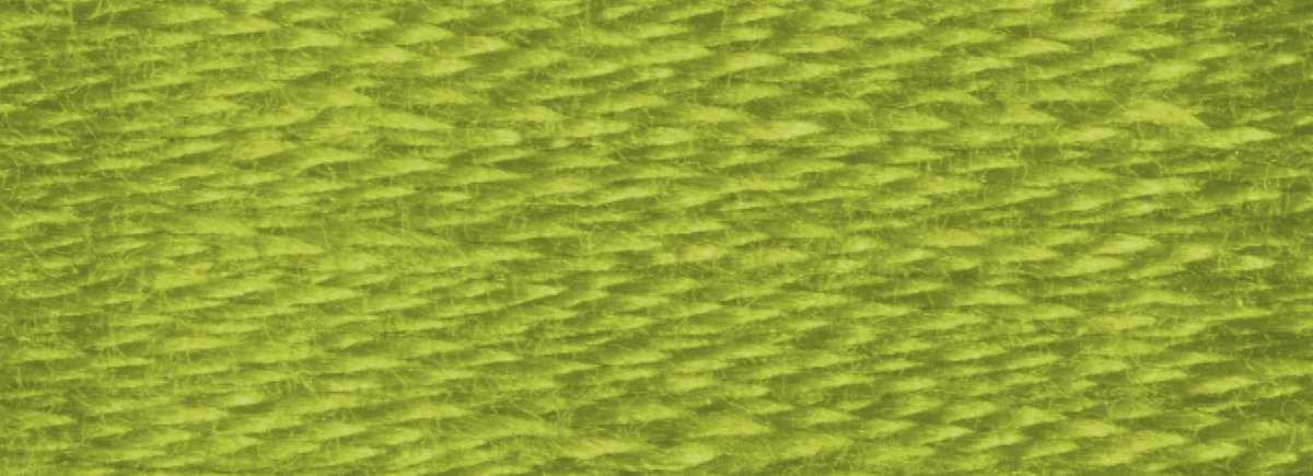 DMC 6 - Strand Cotton Embroidery Floss 8.7yd - 581 Moss Green - The Merri Artist - merriartist.com