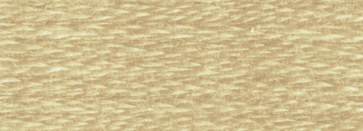 DMC 6 - Strand Cotton Embroidery Floss 8.7yd - 612 Light Drab Brown - The Merri Artist - merriartist.com