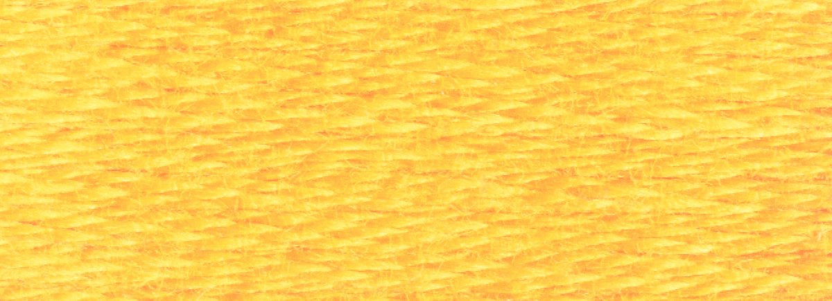 DMC 6 - Strand Cotton Embroidery Floss 8.7yd - 725 Topaz - The Merri Artist - merriartist.com