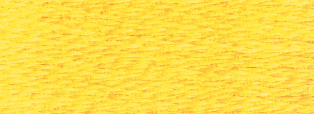 DMC 6 - Strand Cotton Embroidery Floss 8.7yd - 726 Light Topaz - The Merri Artist - merriartist.com