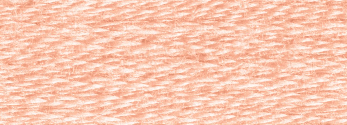 DMC 6 - Strand Cotton Embroidery Floss 8.7yd - 754 Light Peach - The Merri Artist - merriartist.com