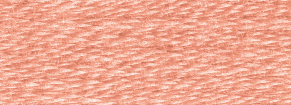 DMC 6 - Strand Cotton Embroidery Floss 8.7yd - 758 Very Light Terra Cotta - The Merri Artist - merriartist.com