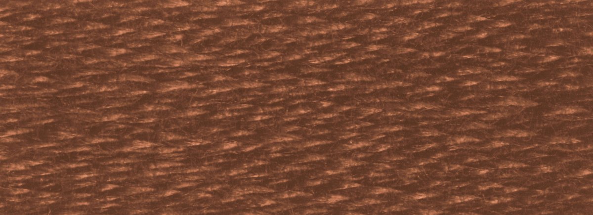 DMC 6 - Strand Cotton Embroidery Floss 8.7yd - 801 Dark Coffee Brown - The Merri Artist - merriartist.com