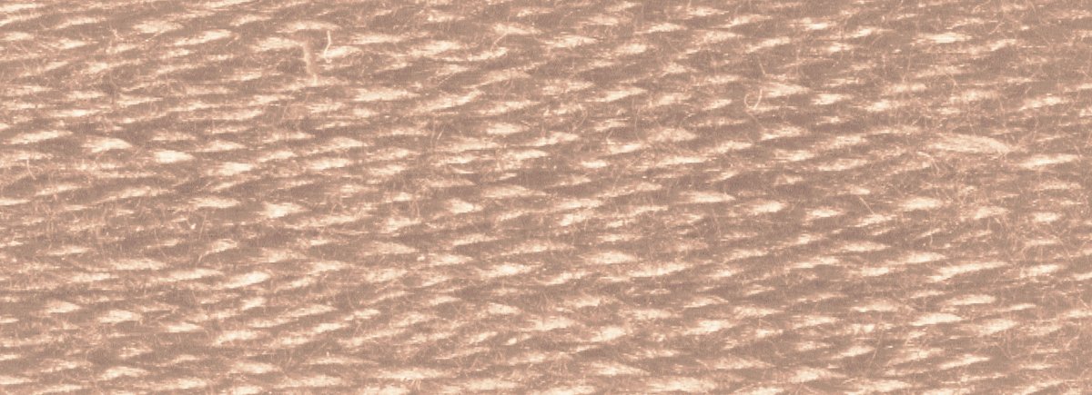 DMC 6 - Strand Cotton Embroidery Floss 8.7yd - 841 Light Beige Brown - The Merri Artist - merriartist.com