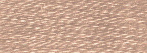 DMC 6 - Strand Cotton Embroidery Floss 8.7yd - 841 Light Beige Brown - The Merri Artist - merriartist.com