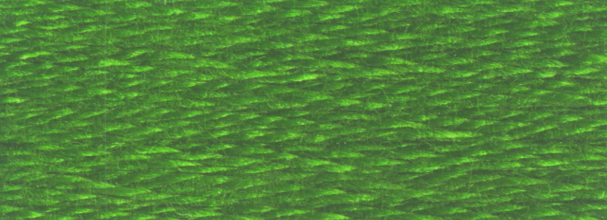 DMC 6 - Strand Cotton Embroidery Floss 8.7yd - 904 Very Dark Parrot Green - The Merri Artist - merriartist.com