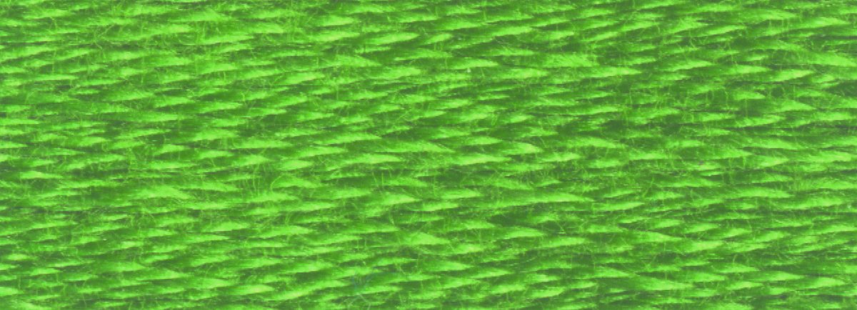 DMC 6 - Strand Cotton Embroidery Floss 8.7yd - 906 Medium Parrot Green - The Merri Artist - merriartist.com