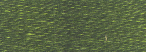 DMC 6 - Strand Cotton Embroidery Floss 8.7yd - 936 Very Dark Avocado Green - The Merri Artist - merriartist.com