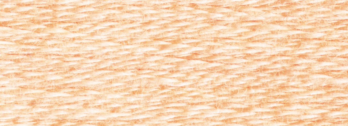 DMC 6 - Strand Cotton Embroidery Floss 8.7yd - 950 Light Desert Sand - The Merri Artist - merriartist.com