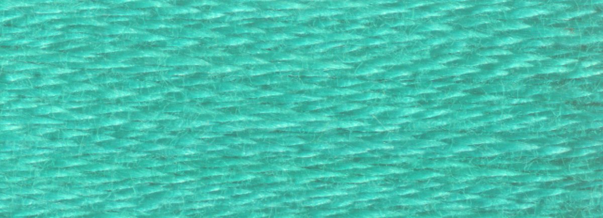 DMC 6 - Strand Cotton Embroidery Floss 8.7yd - 958 Dark Seagreen - The Merri Artist - merriartist.com