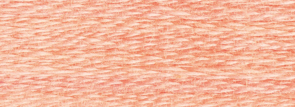 DMC 6 - Strand Cotton Embroidery Floss 8.7yd - 967 Very Light Apricot - The Merri Artist - merriartist.com